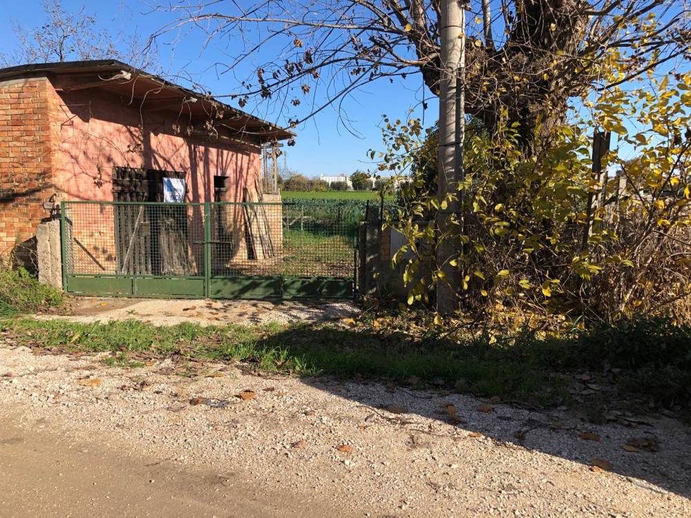 immagine annuncio 8 di 9