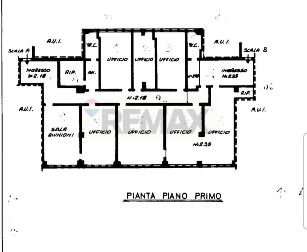 immagine annuncio 12 di 13