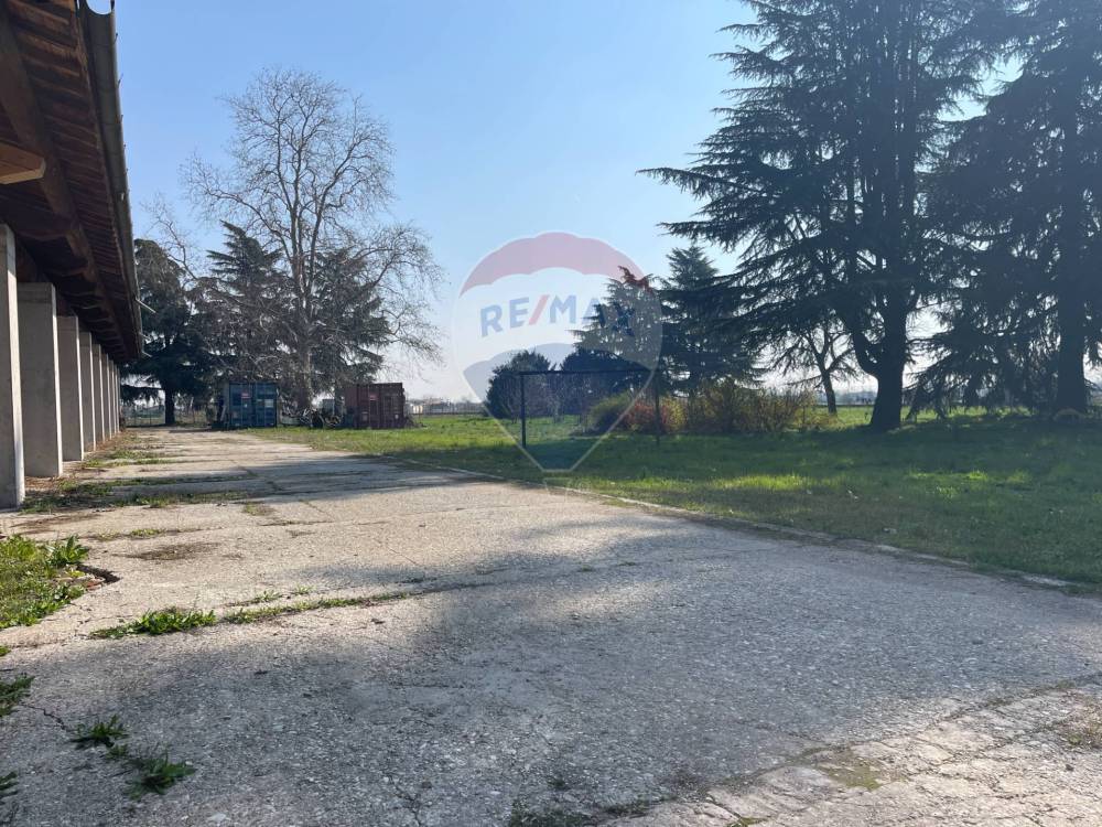 immagine annuncio 12 di 13
