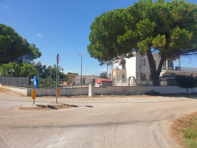 immagine annuncio 6 di 13