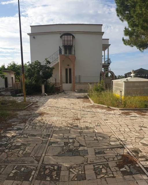 immagine annuncio 3 di 13