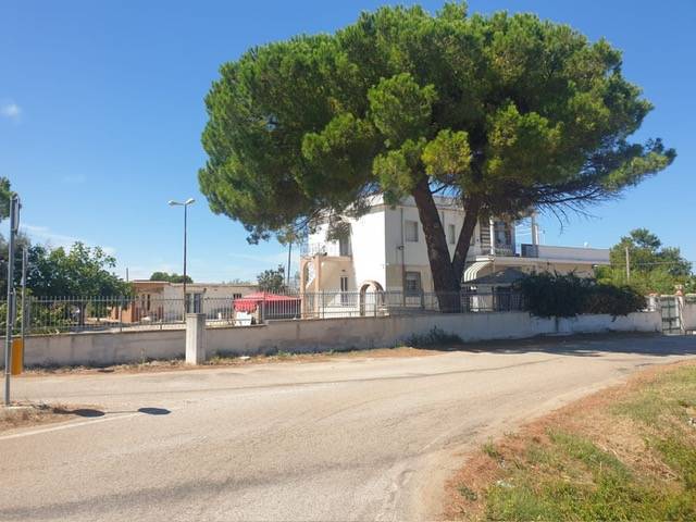 immagine annuncio 2 di 13