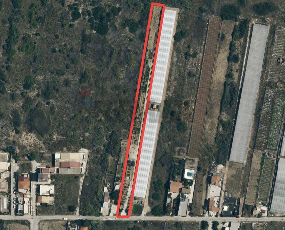 immagine annuncio 12 di 14