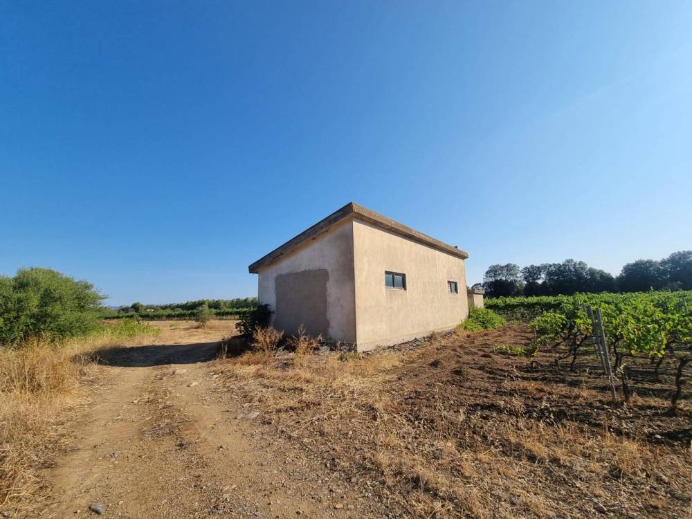 immagine annuncio 6 di 8