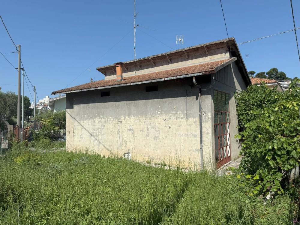 immagine annuncio 1 di 7