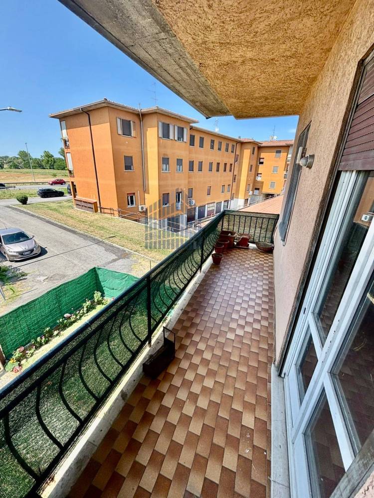 immagine annuncio 9 di 13