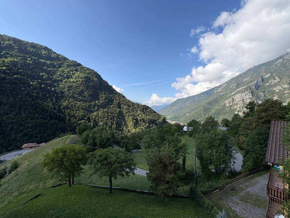 immagine annuncio 2 di 13
