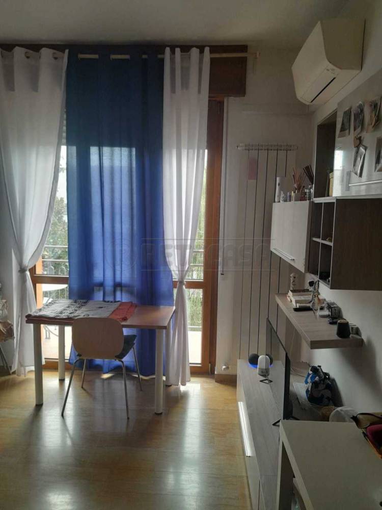 immagine annuncio 7 di 13
