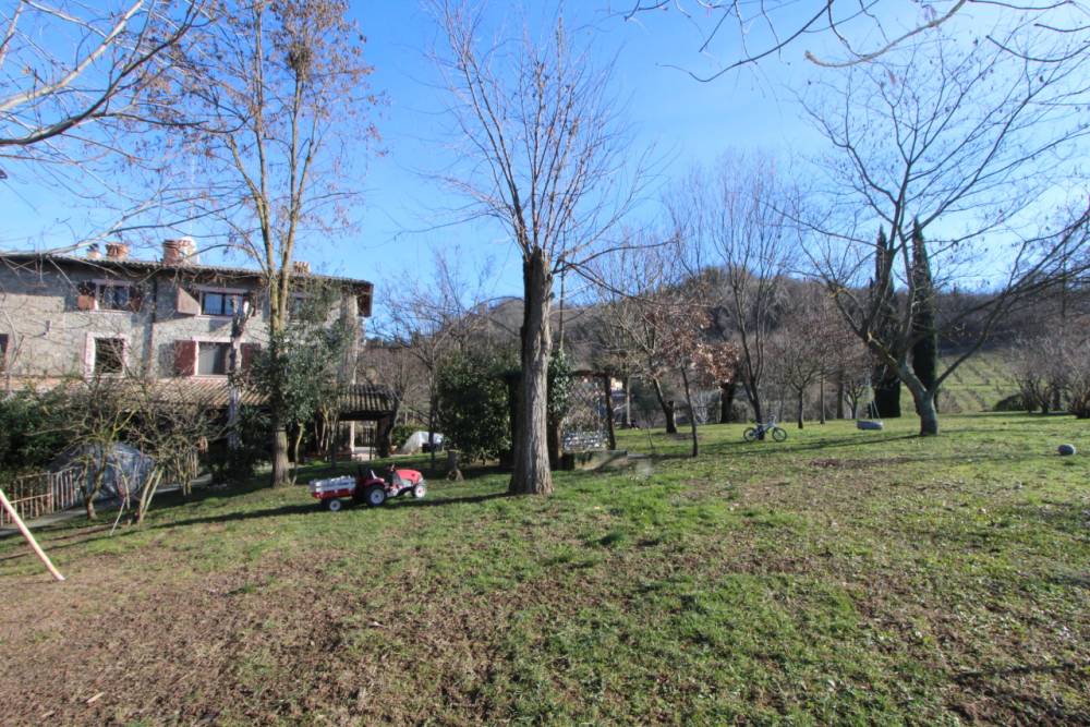 immagine annuncio 11 di 13