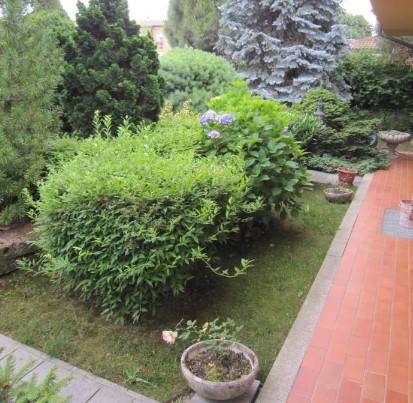immagine annuncio 7 di 9