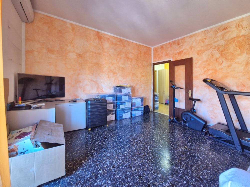 immagine annuncio 6 di 13