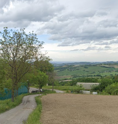 immagine annuncio 11 di 13