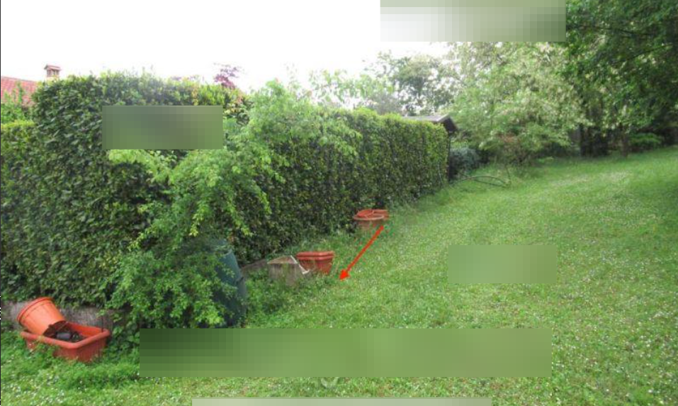 immagine annuncio 2 di 13