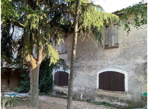 immagine annuncio 1 di 13
