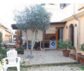 immagine annuncio 2 di 13