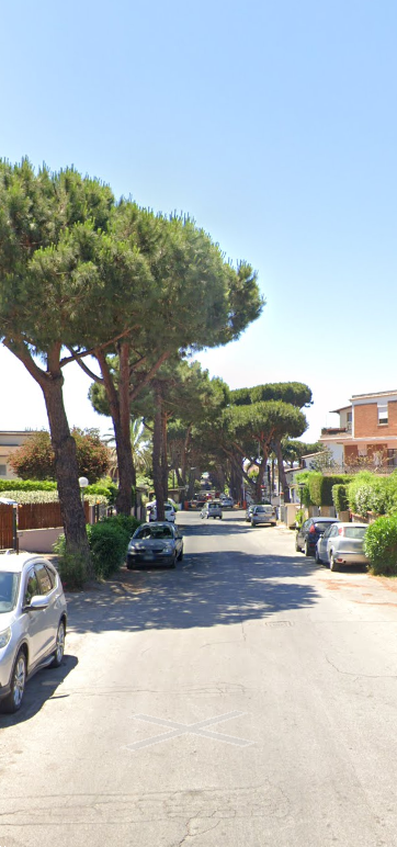 immagine annuncio 3 di 13