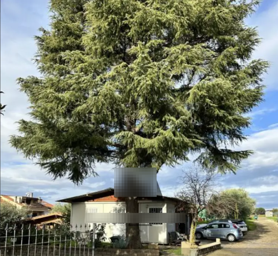immagine annuncio 3 di 13