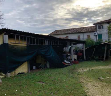 immagine annuncio 2 di 13