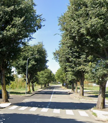 immagine annuncio 8 di 13