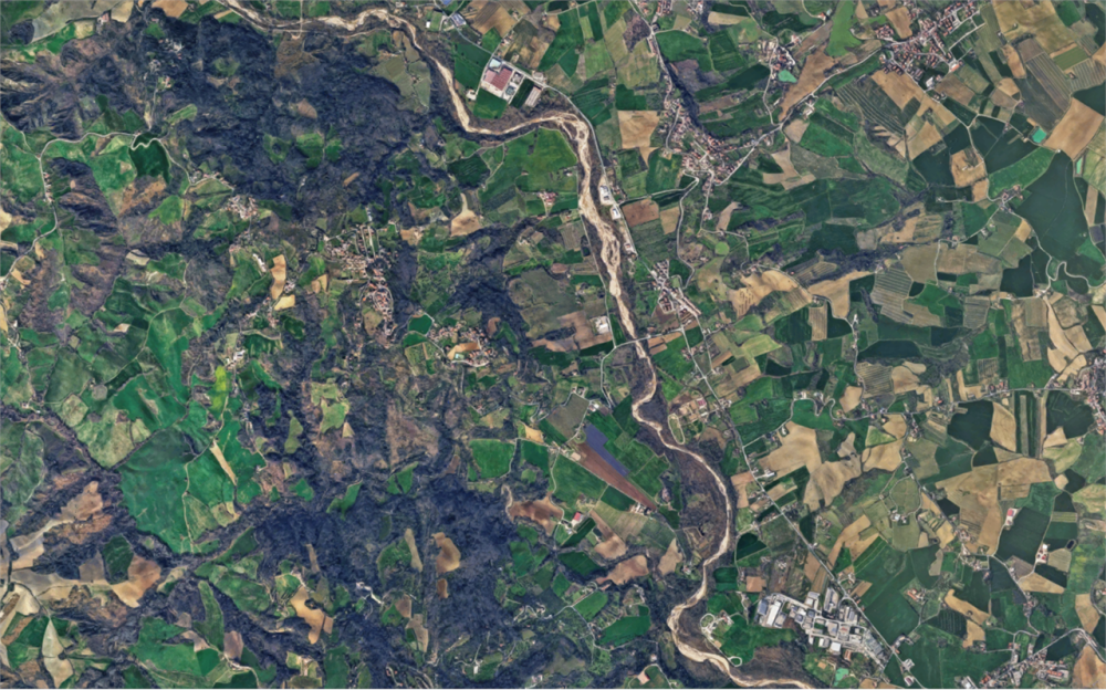immagine annuncio 9 di 13