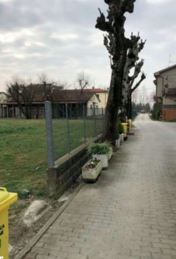 immagine annuncio 2 di 13
