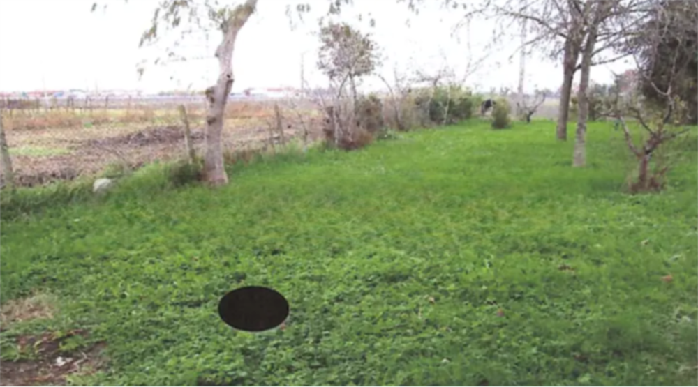 immagine annuncio 2 di 13