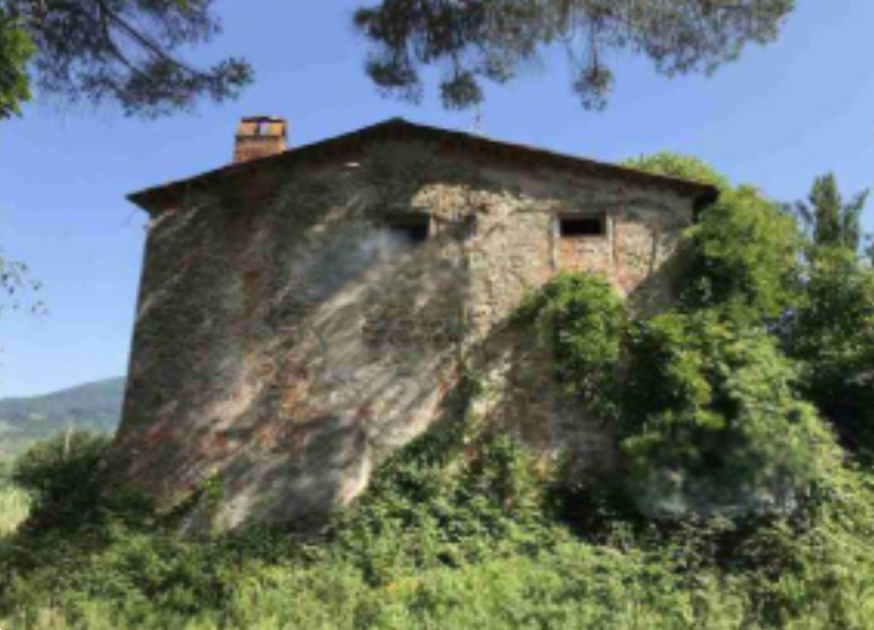 immagine annuncio 1 di 13