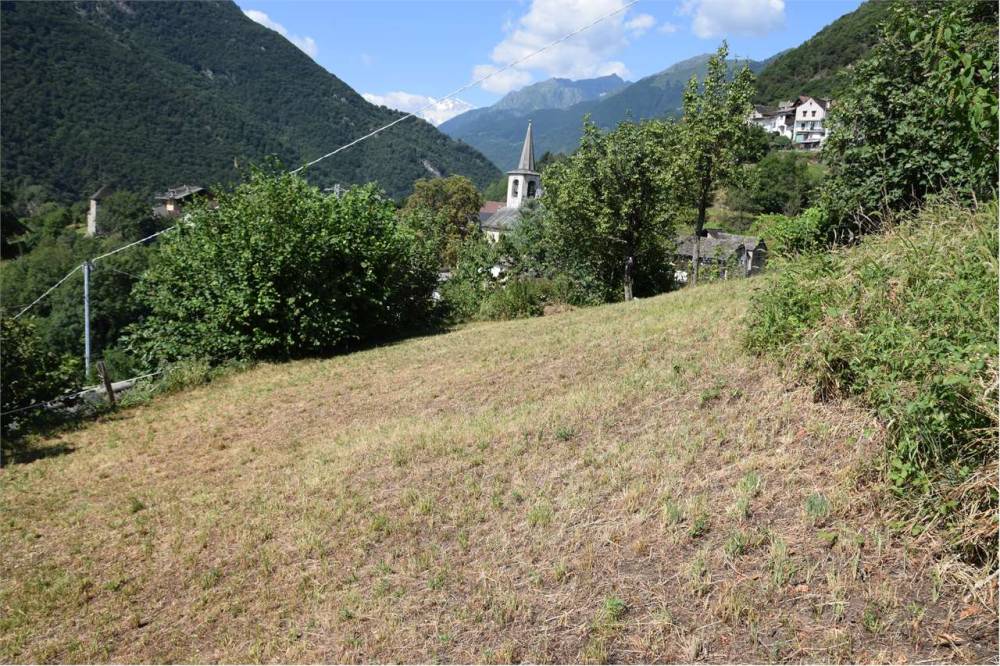 immagine annuncio 5 di 13