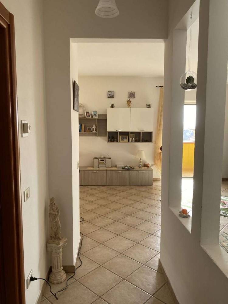 immagine annuncio 4 di 13