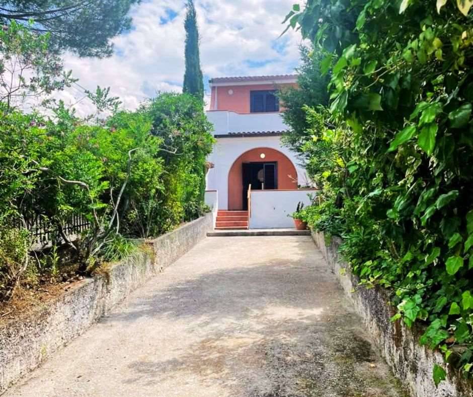 immagine annuncio 12 di 13