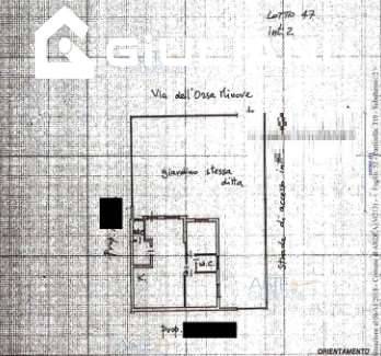 immagine annuncio 2 di 6