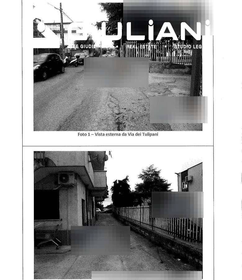 immagine annuncio 4 di 6