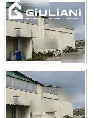 immagine annuncio 4 di 6