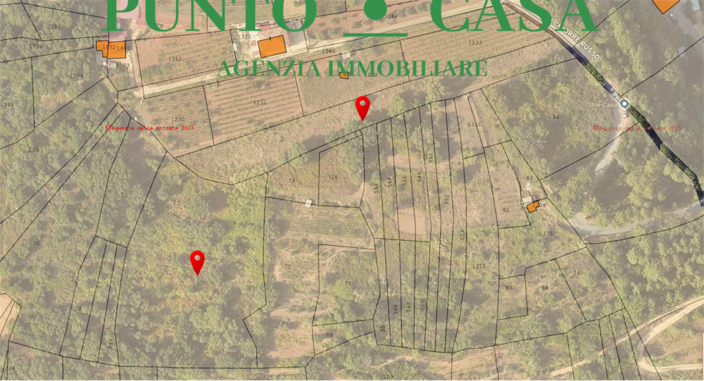 immagine annuncio 2 di 12