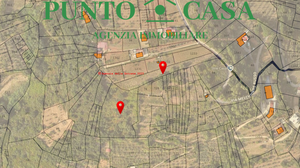 immagine annuncio 1 di 12