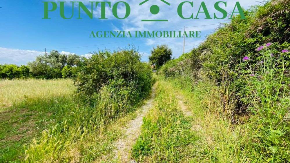 immagine annuncio 9 di 12