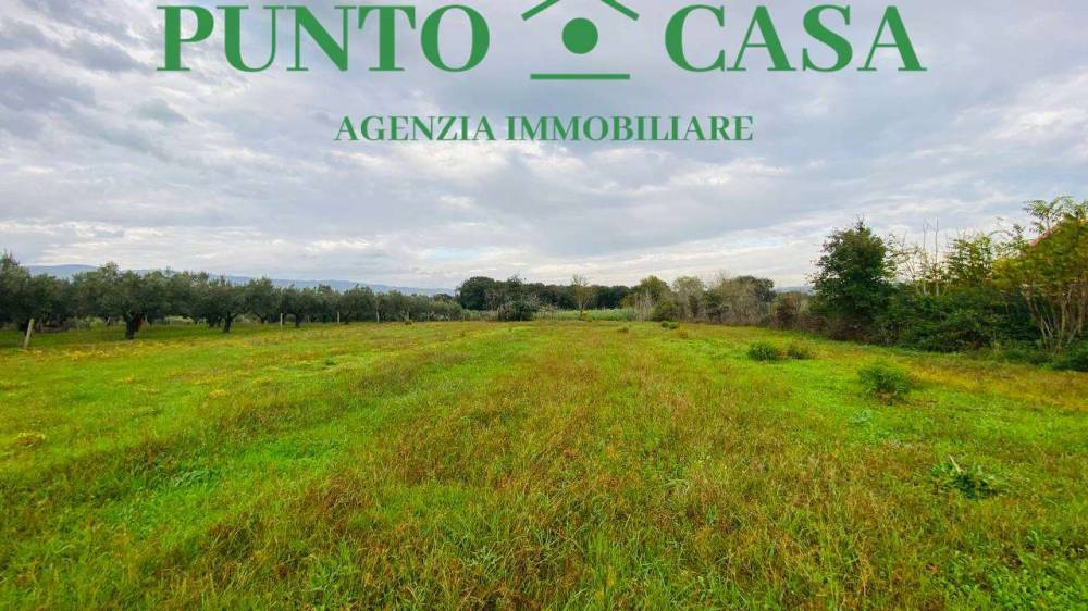 immagine annuncio 7 di 9
