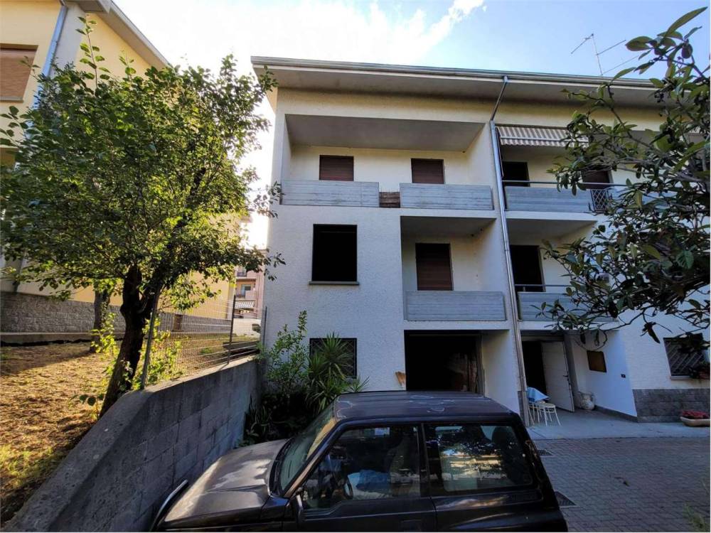 immagine annuncio 1 di 12