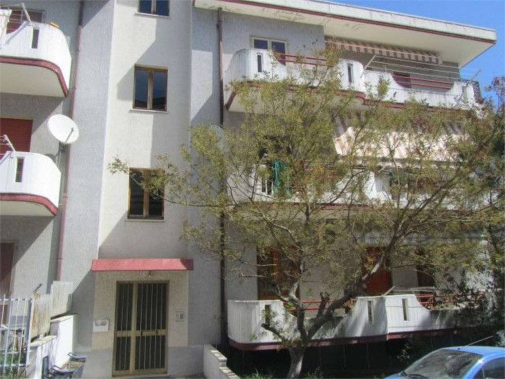 immagine annuncio 12 di 13