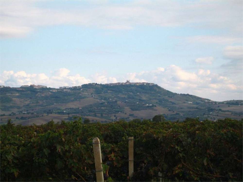 immagine annuncio 6 di 13