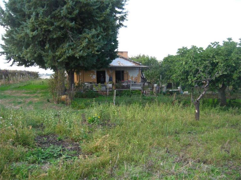 immagine annuncio 11 di 13