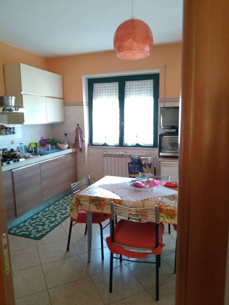 immagine annuncio 1 di 13