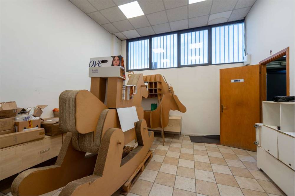 immagine annuncio 3 di 13
