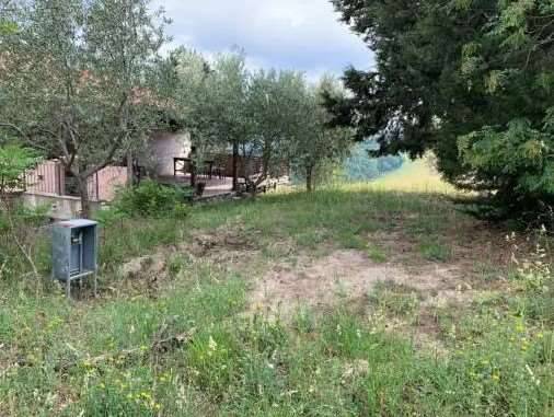 immagine annuncio 9 di 13