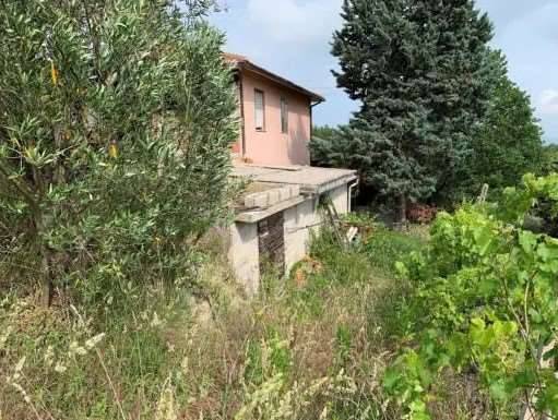 immagine annuncio 10 di 13