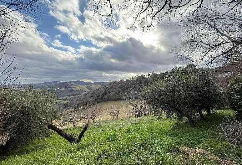 immagine annuncio 6 di 13
