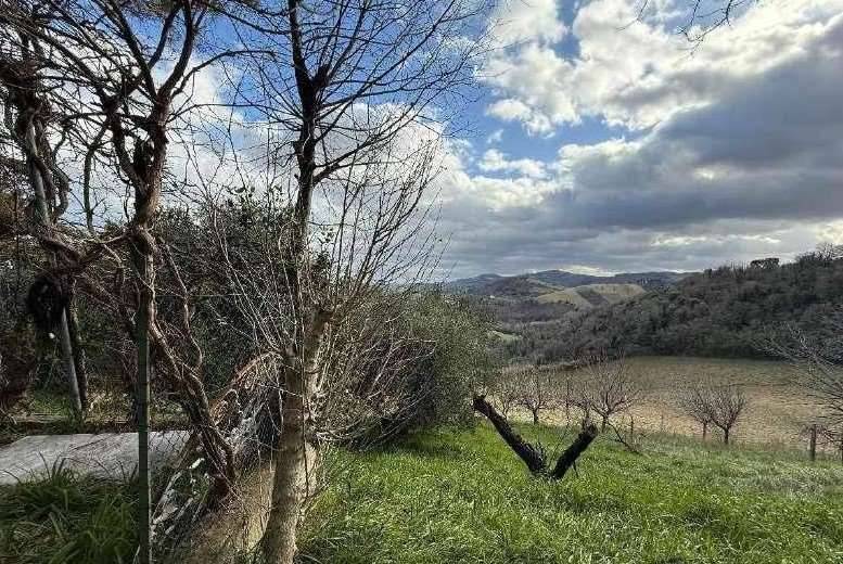 immagine annuncio 7 di 13