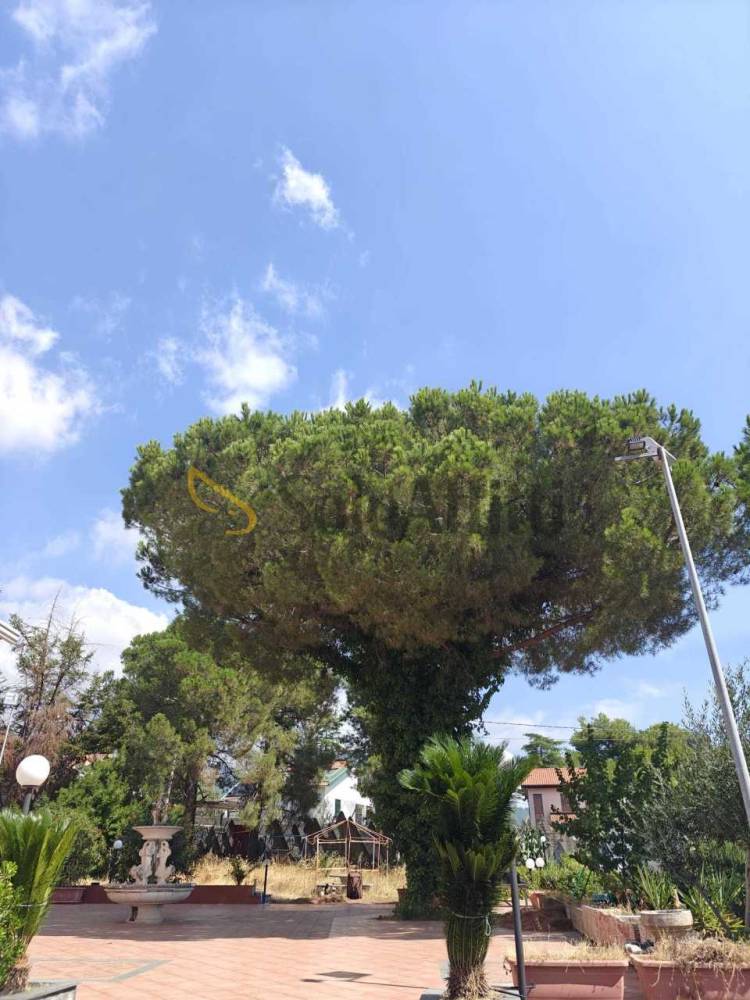 immagine annuncio 6 di 7