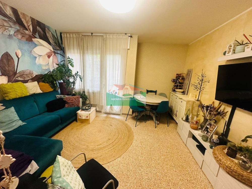immagine annuncio 4 di 13