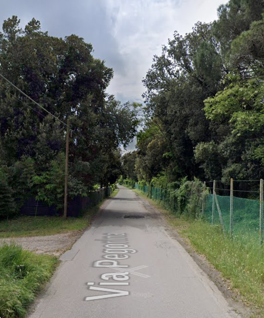 immagine annuncio 6 di 13